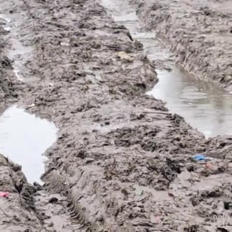 मधेपुरा: मधेपुरा जिला के सकर पुरा गाव वार्ड नंबर 2 सिंघेश्वर जाने वाले सरक की हालत इस महामारी में ﻿#कोराना वायरस
