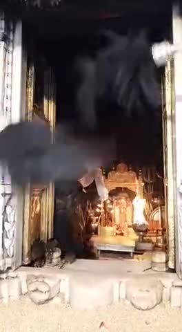 जयपुर: करणी माता देशनोक से आज के दर्शन 
#karnimata #rajasthannews #rajasthan #deshnoke_news #bikaner