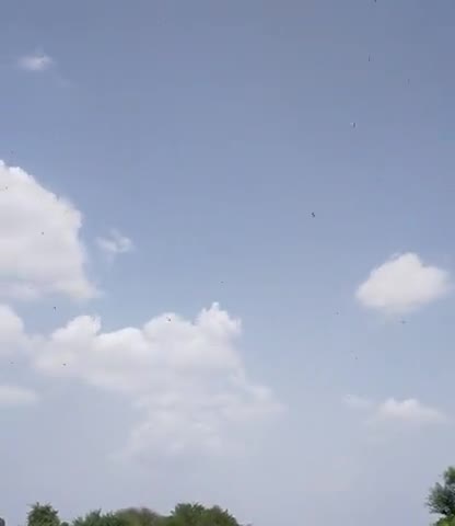जयपुर: राजधानी जयपुर में आज फिर टिड्डी दल का हमला 
#tiddidal #jaipur #livenews