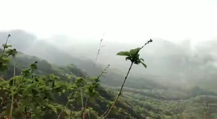 आबू रोड: the great view of the golden horn ( 400m above ) tiger path mount Abu #public #mountabu #foryou #rajasthan #sirohi