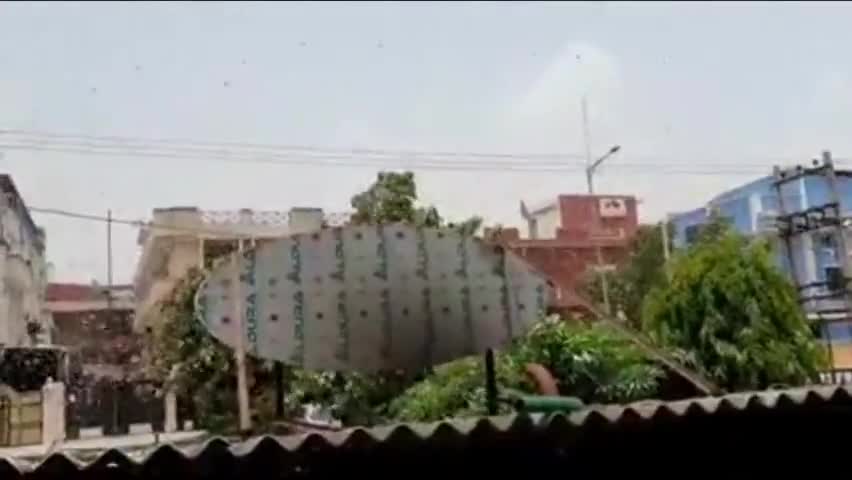 अलवर: ज़िले में राजगढ़, लक्ष्मणगढ़ व मालाखेड़ा तक पहुंचा टिड्डी दल #कृषि_विभाग