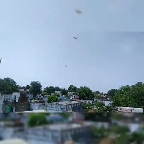 शिवपुरी: शिवपुरी जिले की कोलारस तहसील में एक बार फिर हुआ टिड्डी दल का आतंक,करोड़ो की संख्या में टिड्डी देखने को मिले। #कोलारस