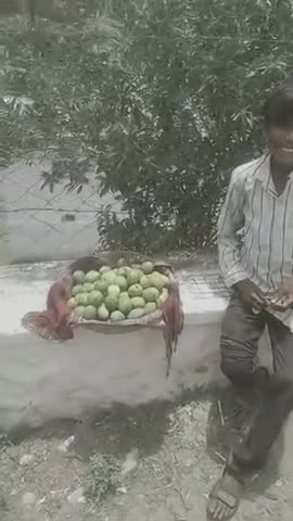 आबू रोड: In mount Abu whereas poor boys selling mango ( carry ) ......#foryou #sagardesai #public #trending #sirohi #rajasthan ..