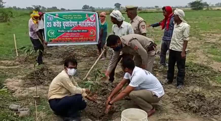#पौधे लगाते हुए एस.डी.एम सैफई