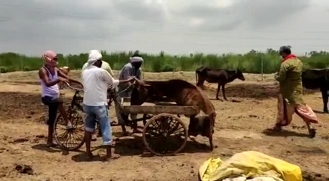 भारतीय जनता पार्टी वोट लेने के लिए बहुत तरह की भावनात्मक वादे करती है मगर सत्ता पाने के बाद सब भूल जाती है! #चन्दौली