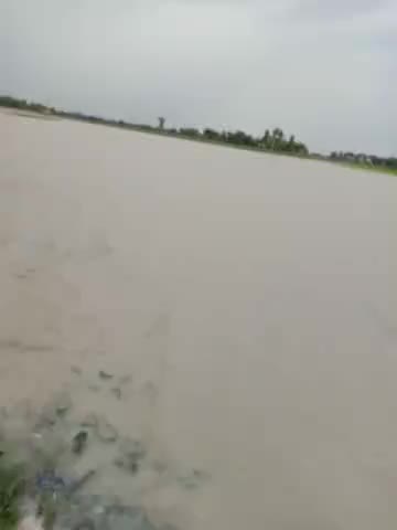 नरकटिया: #baadh 
Pani nikashi ka ka rasta Nhi hone se 
Hardiya ki Hui aisi haalat 
CM Saheb iska solution dijiye plz