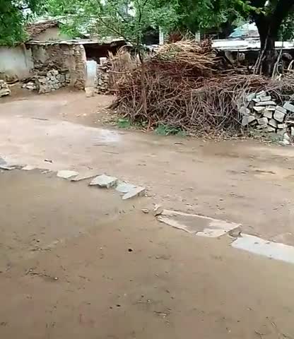 चित्तौड़गढ़: चित्तौड़गढ़ के नवाबपुरा  में काफी दिनों बाद बारिश हुई #फसलों को नुकसान होते होए बचा