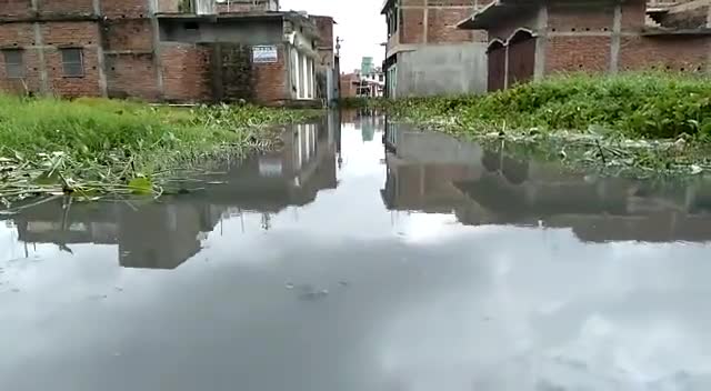 जलमग्न है #सीतामढ़ी शहर के #कोट_बाज़ार और #मुरलिया_चक को जोड़ने वाली सड़क
#सुशासन_तैर_रहा_है