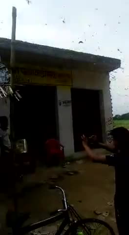 कायमगंज: शमसाबाद विकास खण्ड के गांव शुकरुलापुर के पास खेतों में दिखा टिड्डी दल, किसानों ने बजाए बर्तन व पीपा #टिड्डी_दल