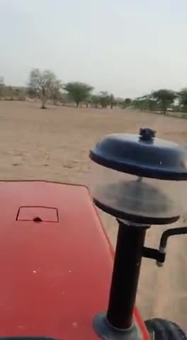 जोधपुर: #टिड्डी भगाने का अनोखा तरीका,आप भी यह वीडियो जरूर देखे