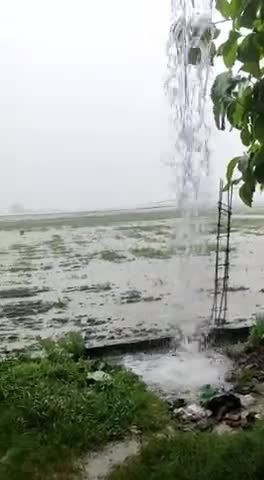 कहरा: barish #dmsaharsa ggvvb zxhn bhhhbhxdh bhgg
h