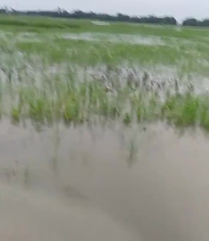 घनश्यामपुर: #Gonoun to lagma road#bihar_dgp