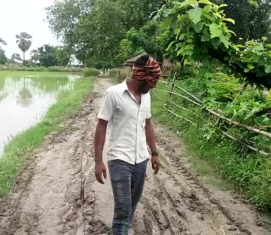 लकड़ी नबीगंज: #musepur  (jagatpur)ka ye road hai