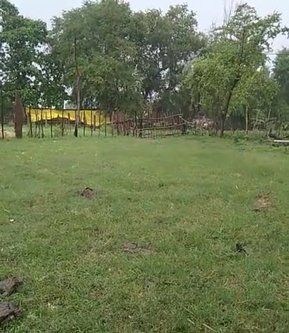 सागर: #sagar #garhakota charkhari gram