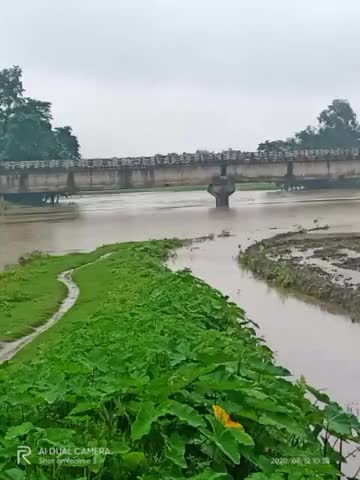 अररिया: लगातार हो रही बारिश से नदियों के जलस्तर में वृद्धि ,, बैरगाछी मदनपुर,, फ्रासुत मार्ग पुल #mansoon