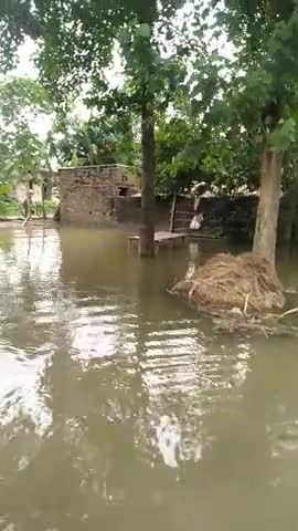 साहेबगंज: badh ka parkop #pabllicchelenge ﻿