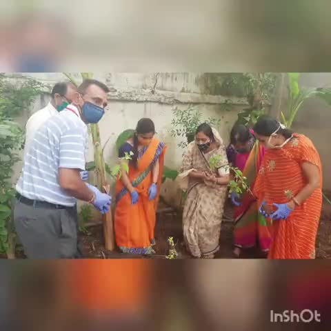 भाजपा महिला मोर्चा  *तुलसी रोपण व वितरण कार्यक्रम पार्षद श्रीमति शिल्पा पामेचा द्वारा ।
#BJP4Rajasthan 
##BJP4India
