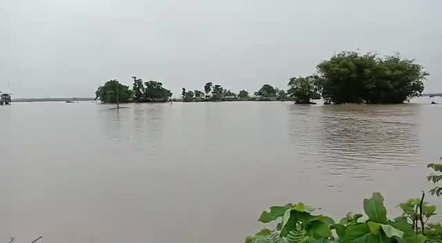 दिघलबैंक: #kishanganjflood #floodkishanganj