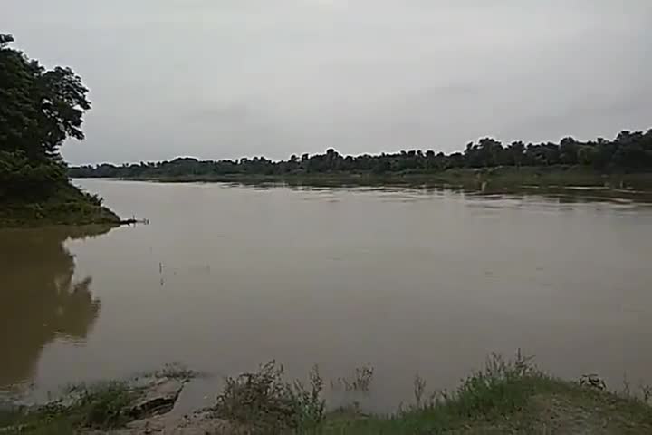 मनीगाछी: समस्तीपुर के बूढ़ी गंडक में हाई अलर्ट जारी बाढ़ आने की संभावना बढ़ गई है नदी का स्तर बढ़ रही है#mausamalert