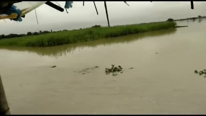 महेशबथना और पत्थरघट्ठी के लिए अब न नई मुसीबत, पहले घर में घुसा बाढ़ का पानी, अब कटाव की आफत। #किशनगंजबाढ़ #किशनगंज_बाढ़