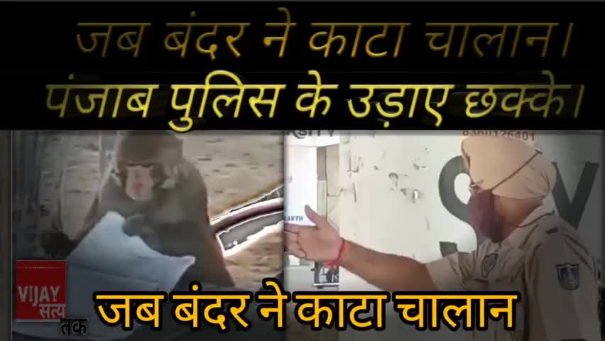 गाज़ियाबाद: जब बंदर ने काटा चालान।
वीडियो हैं वायरल।
#vijaysatyatak 
#jungle