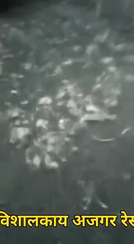 धामपुर: कालागढ़ में विशालकाय अजगर को देखकर हलचल पैदा हो गई। सूचना पर वन विभाग ने अजगर को पकड़कर जंगल में छोड़ा।
﻿#अजगर #कालागढ़