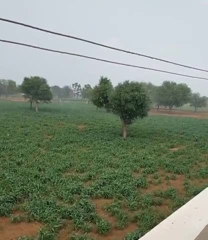 जयपुर: तेज आंधी के बाद बरसी राहत 
#jaipurrural #baarish #weather