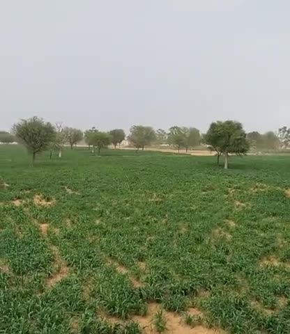 जयपुर: राजधानी जयपुर तेज  ने बदली बारिश की राह #aandhi #weather #jaipur_city