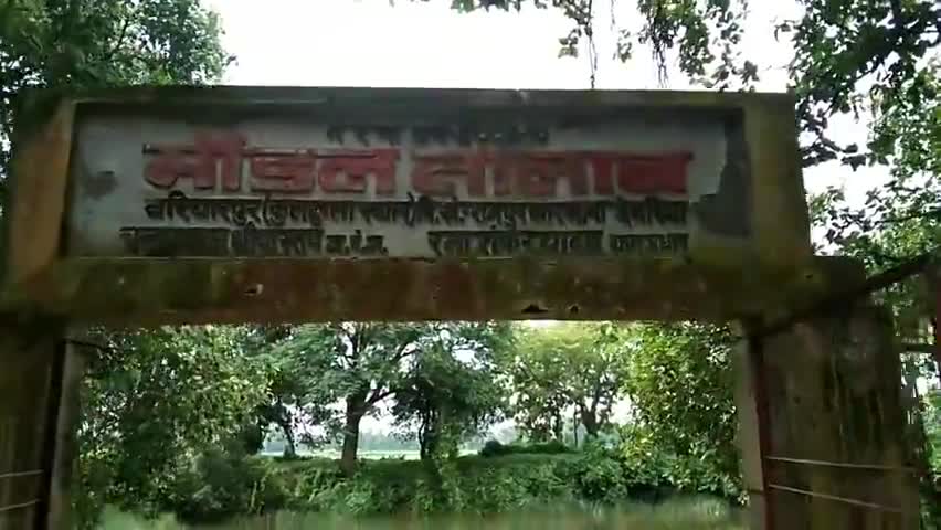 देेेवरिया: मेरे गाँव का मॉडल तालाब #रहश्य#देवरिया#
मॉडल तालाब#तालाब