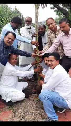 सोनकच्छ: सोनकचछ के भोरासा में मुस्लिम समाज द्वारा हरियाली उत्सव को लेकर कब्रस्तान पर पौधारोपण किया गया ।
#news#india#reporter