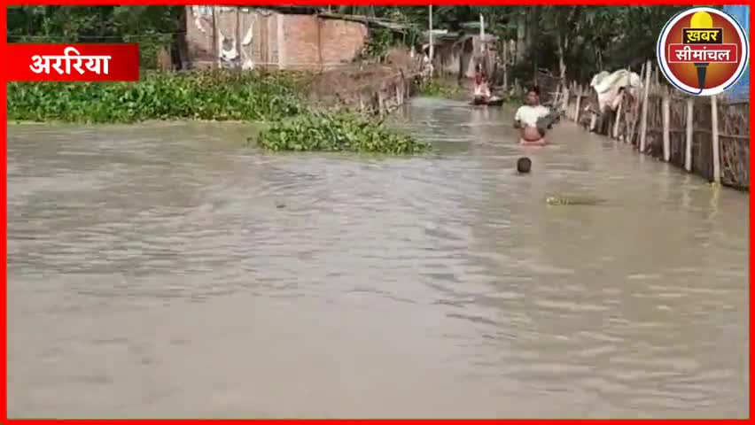 के 5 प्रखंड में बाढ़ का भयंकर हालात, राहत और बचाव कार्य नहीं होने पर लोगों का गुस्सा। #Arariaflood #floodararia