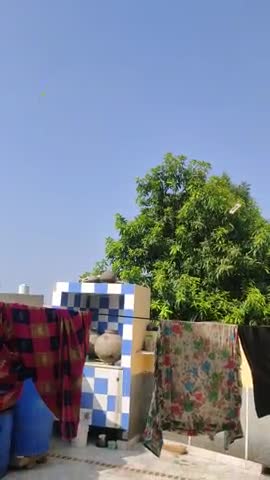 जोधपुर: maderna colony me tedi Ka hamla#srk