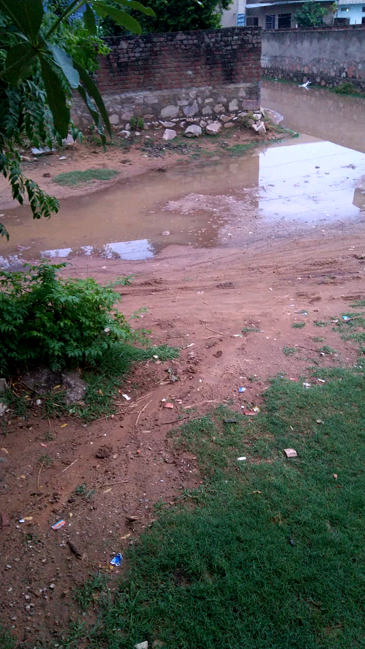 सांगानेर: #jaipur_city #nagar_nigam