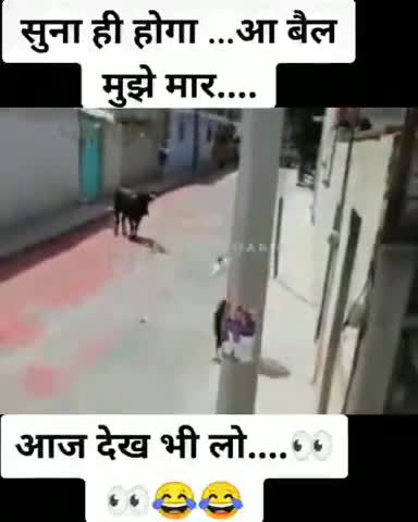 आ बैल मुझे मार 
#fun #funnyopinion