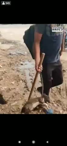 माँ माँ होती है। ये देखकर नि:शब्द हूँ ।
इन बेज़ुबांनो का भी परिवार होता है। ये बात हम कभी नही समझेगे।
#pooja