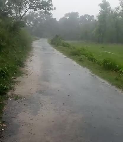 सिमरी बख्तियारपुर: #rain#daily#tension#all#people#purvi#koshi#banth#enough#water#place#navin#nagar﻿
