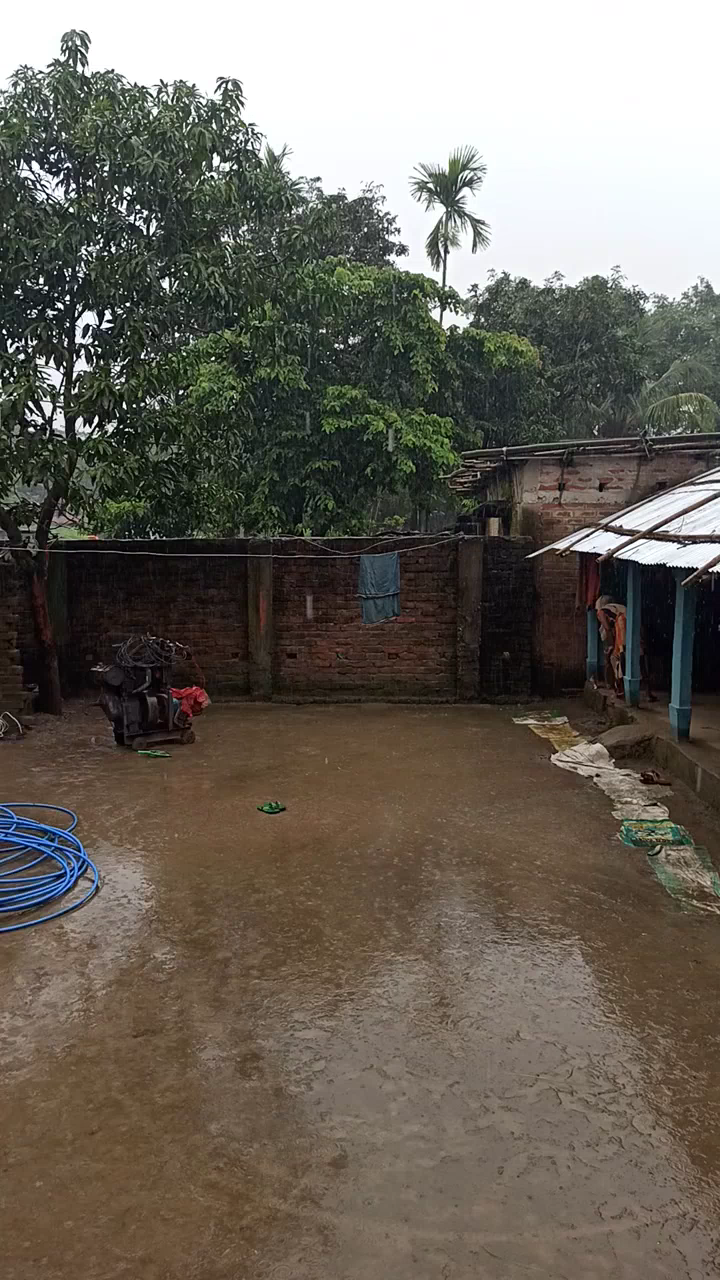 बिहार के किशनगंज में भारी बारिश, कई दिनों से लगातार बारिश से जनजीवन पर प्रभाव पड़ा है। #kishanganjflood #floodkishanganj