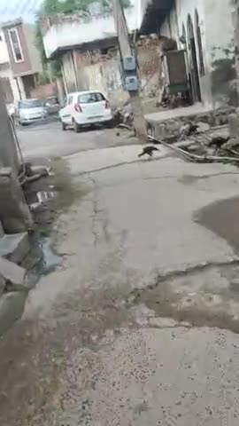 नूह: nuh ward no. 12 
water waste#water_big_problems