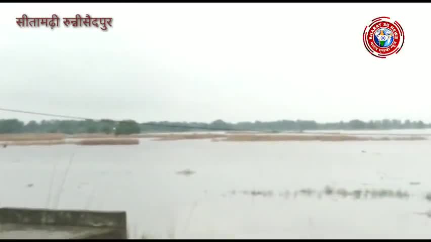 रुन्नी सैदपुर: https://youtu.be/btuptLfyih0
#रुन्नीसैदपुर के मेहसौल तरमा गंगवारा बलिगढ़ में घुसा बाढ़ का पानी* *शाहिद रजा की रिपोर्ट*