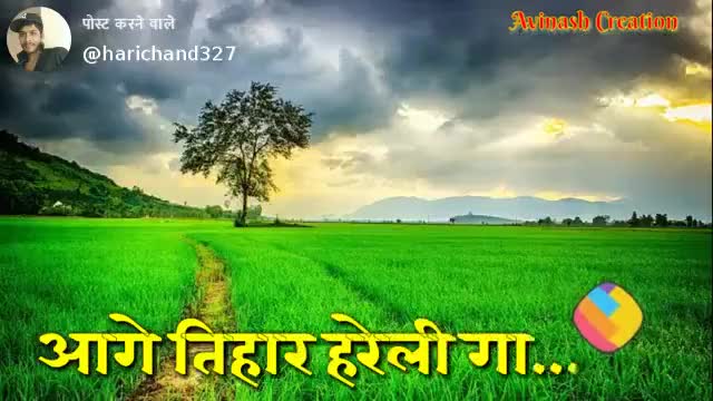 डौण्डीलोहारा: #hareli 
हरेली तिहार के गाड़ा गाड़ा बा धाई