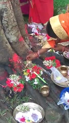 गोड्डा: आज #अमरपुर_Godda में पतिवार्ता व्रत किया गाँव के स्त्रीयो ने पिपल का पेड़ में 108 धागा लपेट kiya
#munnaGodda