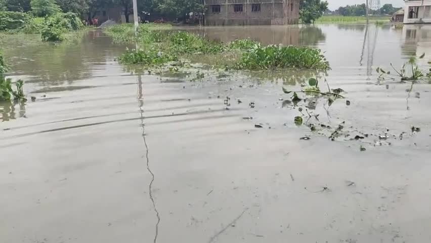 चनपटिया: गोपालपुर, चनपटिया में बाढ़ का तांडव#एनडीआरएफ﻿#zee_bihar_jharkhand ी﻿