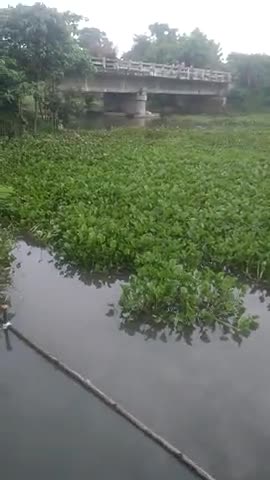 दरभंगा: #Bhiar kisanon Ko Hone Laga Hai pareshani Nadi Mein a Gaya Hai badh Ka Pani