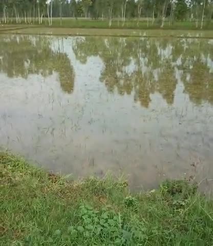 काशीपुर: barish hi barish 
#uttarakhandcongress #ukcourt