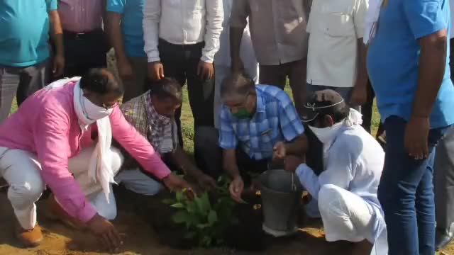 चिड़ावा: हरियाली तीज के अवसर पर गांव ओजटू में मुक्तिधाम में एक साथ लगाए 101 पौधे #sdm #हरियाली_तीज