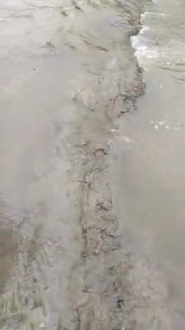 जोगापट्टी: #Nawalpur khalwatola ke hai aya baadh ka pani