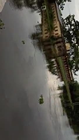 साहेबगंज: साहेबगंज के नजदीक बाया नदी का जलस्तर बढता हुआ॥ जनों को बीच दहशत का माहौल॥ 
 #biharflood2020  #sahebganj #madhopurhazari