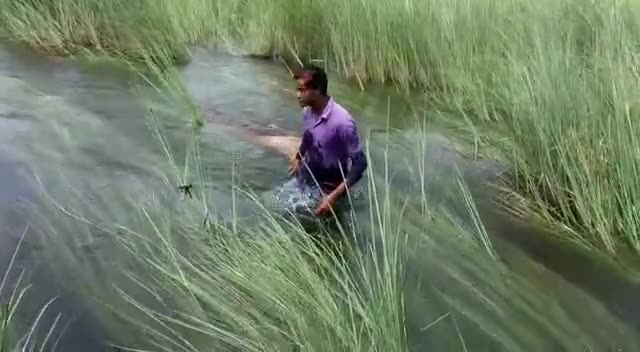 गोपालगंज: #22 बर्षीय युवक ने पानी मे तोड़ा दम