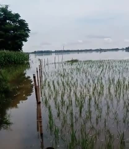मधुबन: #pundar#bajitpur##राम_मंदिर bihar