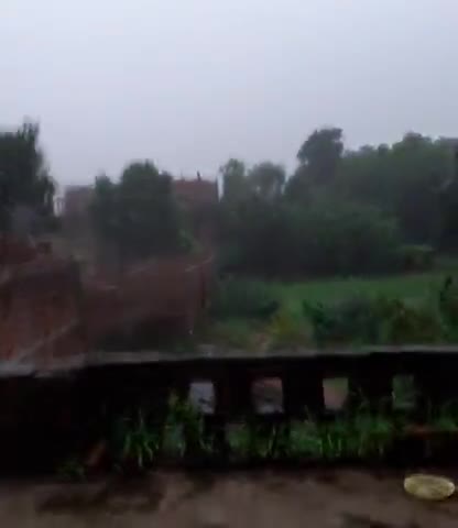 बेनीपुर: #raining #duet 24 ghante me hoga bhari barish